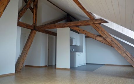 https://www.hiltpold-architectes.ch/wp-content/uploads/2017/02/460-290-dassier-17-8.jpg
